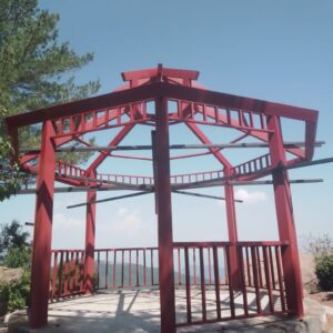 steel designs